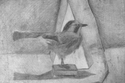 Рисунок «Птица»
